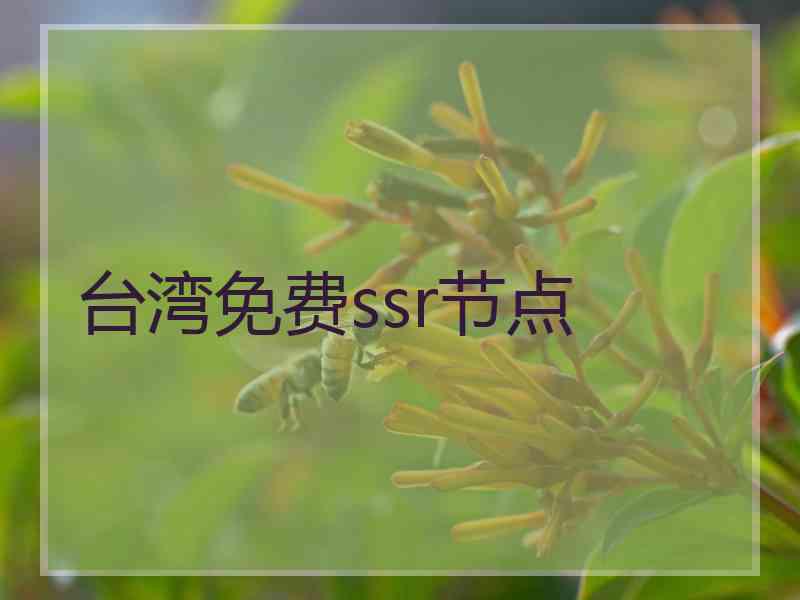 台湾免费ssr节点