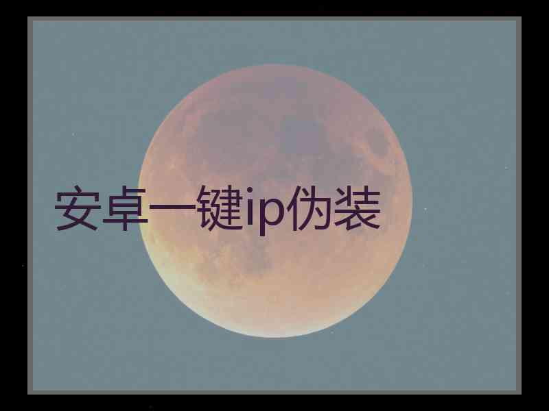 安卓一键ip伪装