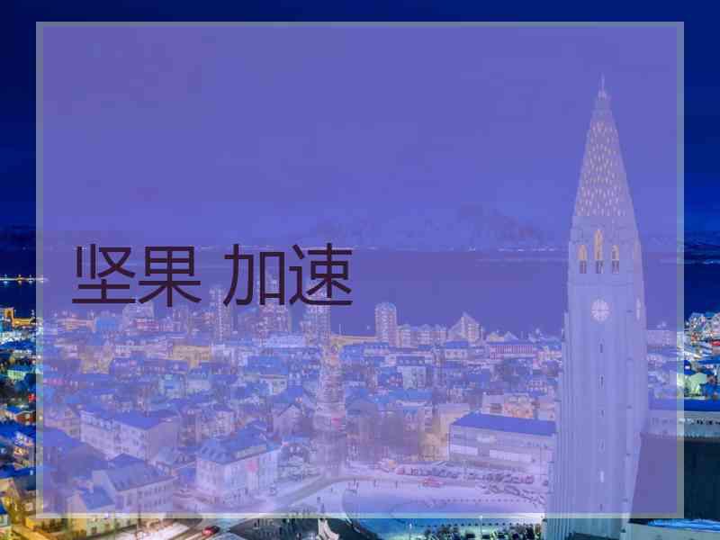 坚果 加速