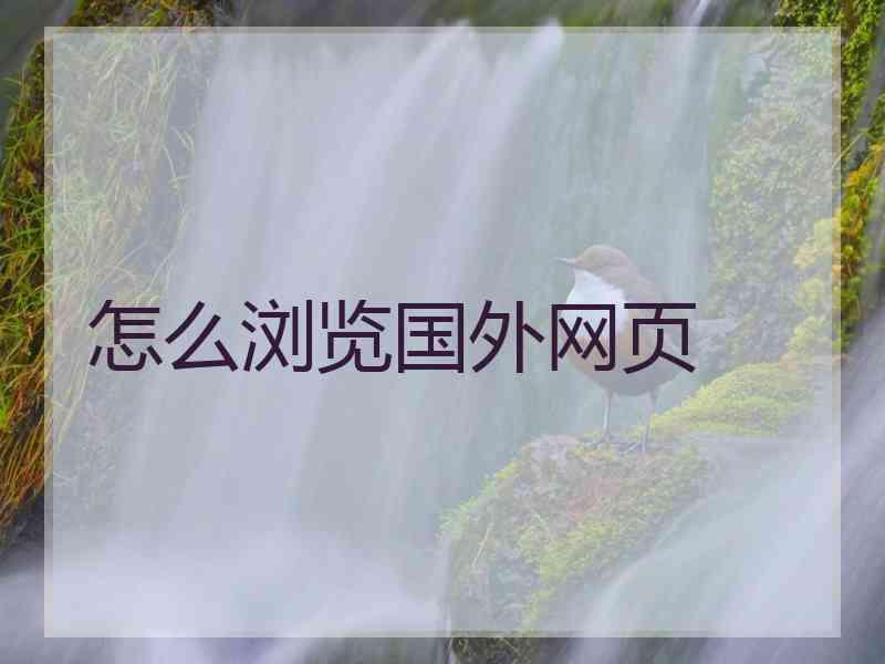 怎么浏览国外网页