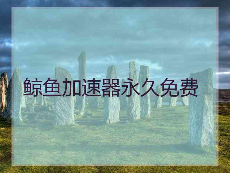 鲸鱼加速器永久免费
