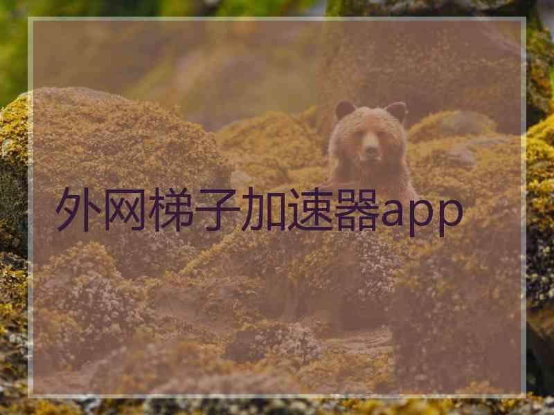 外网梯子加速器app