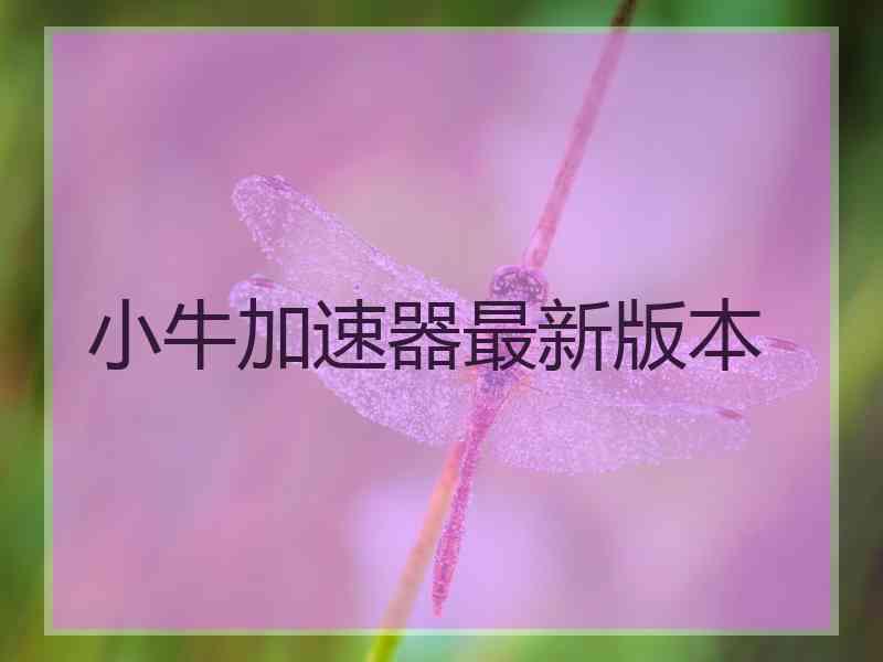 小牛加速器最新版本