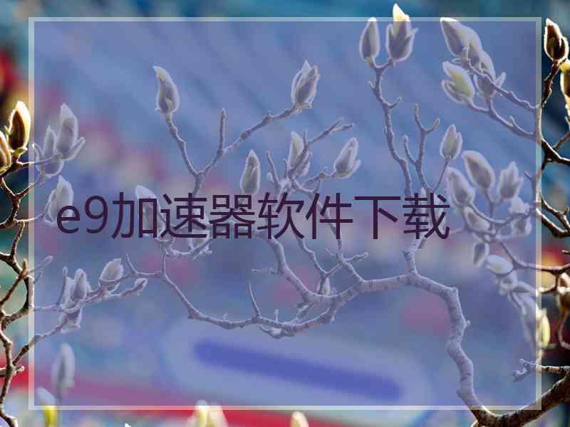 e9加速器软件下载