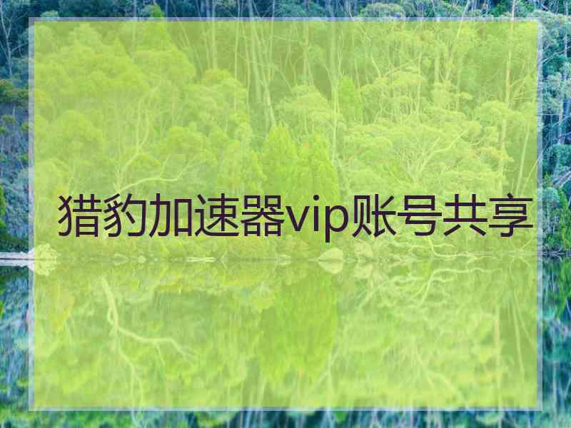 猎豹加速器vip账号共享