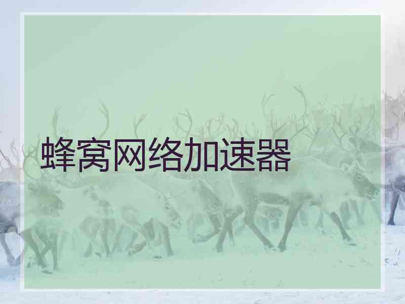 蜂窝网络加速器