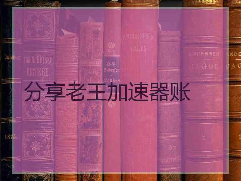 分享老王加速器账