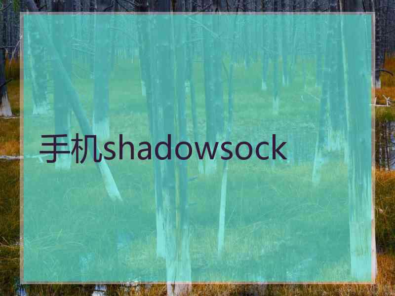 手机shadowsock