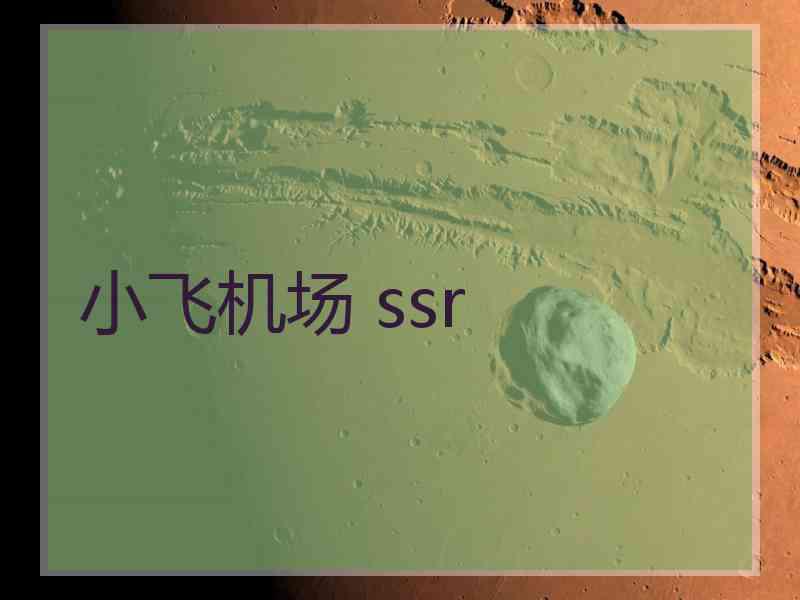 小飞机场 ssr