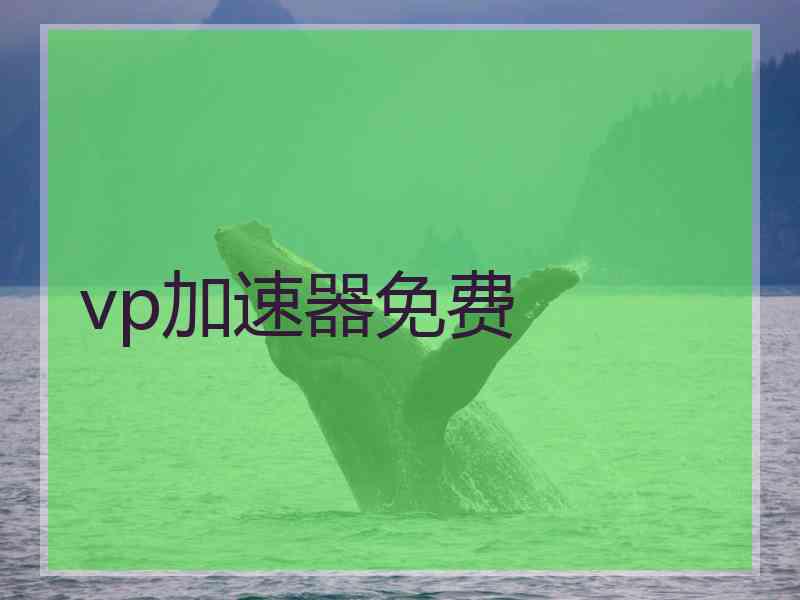 vp加速器免费