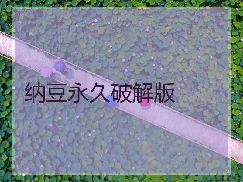 纳豆永久破解版
