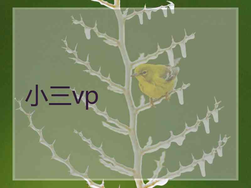 小三vp
