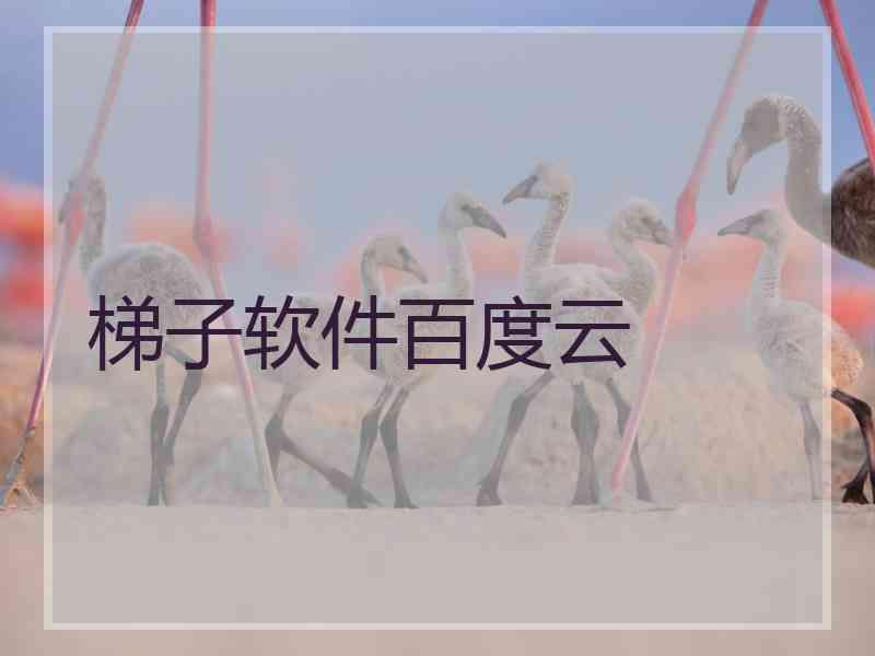梯子软件百度云