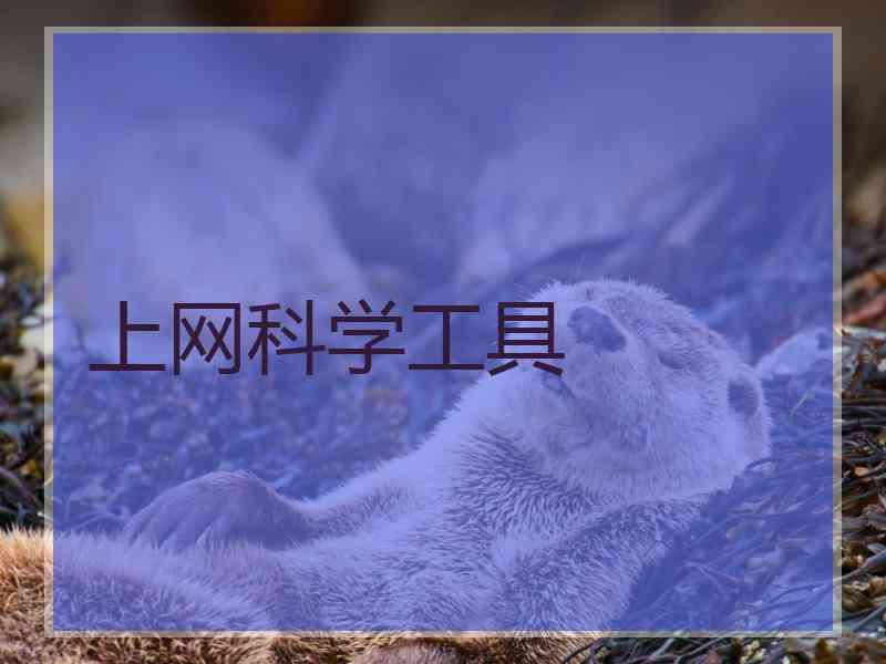 上网科学工具