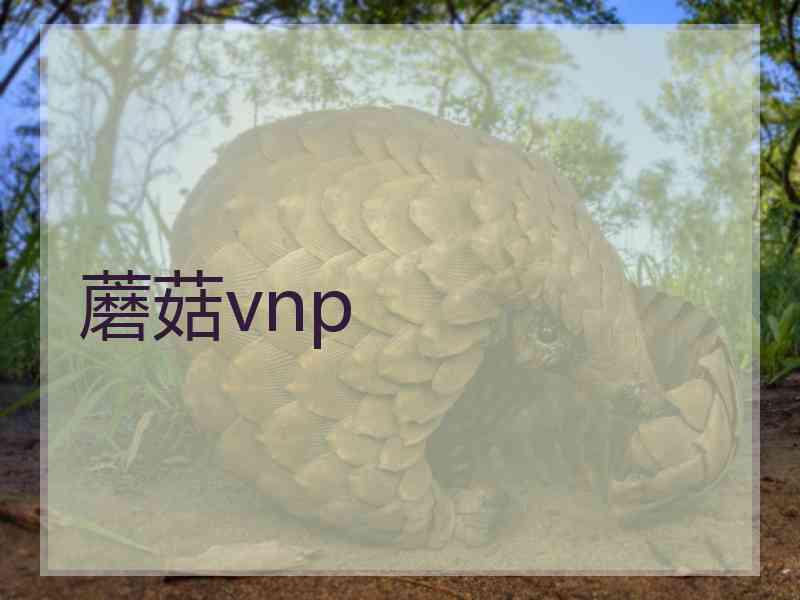 蘑菇vnp