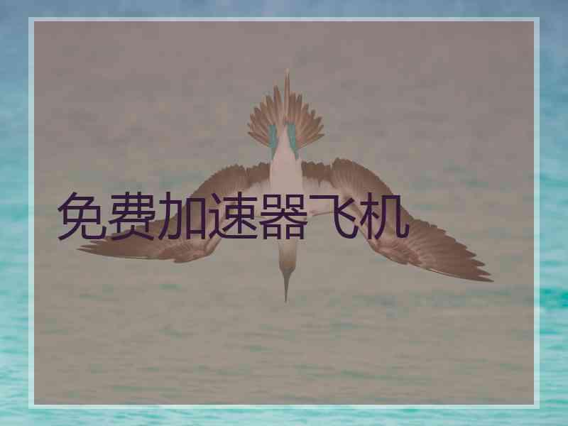 免费加速器飞机