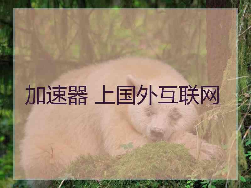加速器 上国外互联网