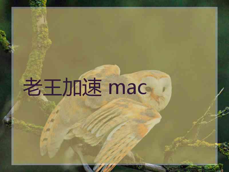 老王加速 mac