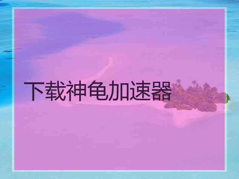 下载神龟加速器