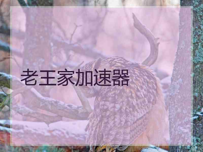 老王家加速器
