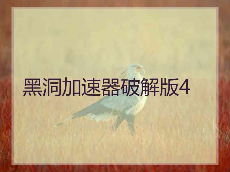 黑洞加速器破解版4