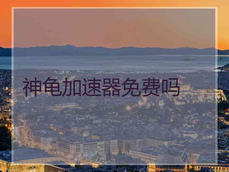 神龟加速器免费吗