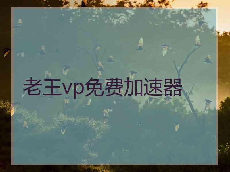 老王vp免费加速器