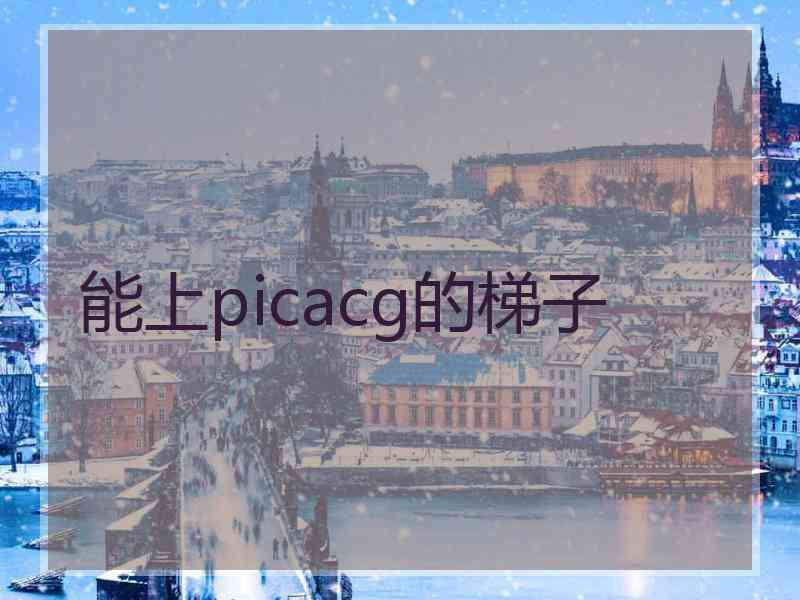 能上picacg的梯子