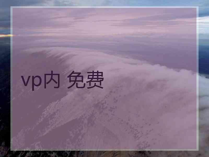 vp内 免费