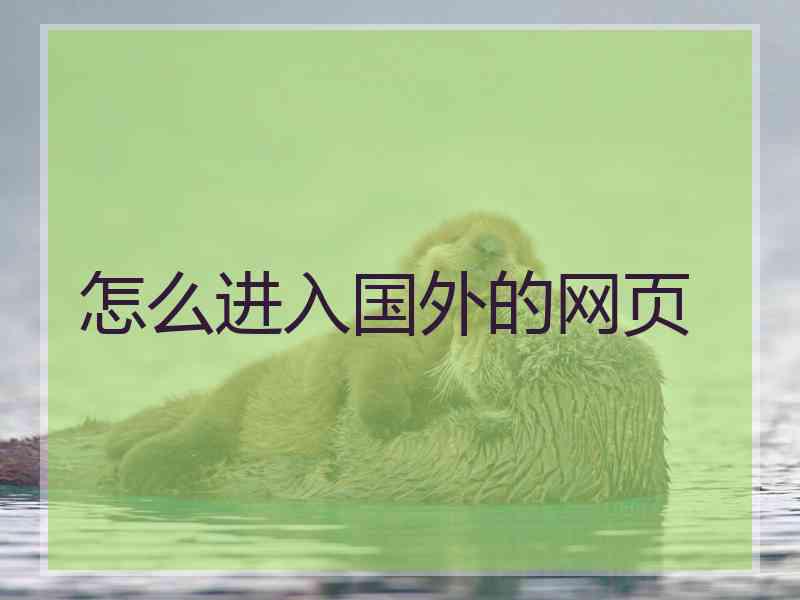 怎么进入国外的网页