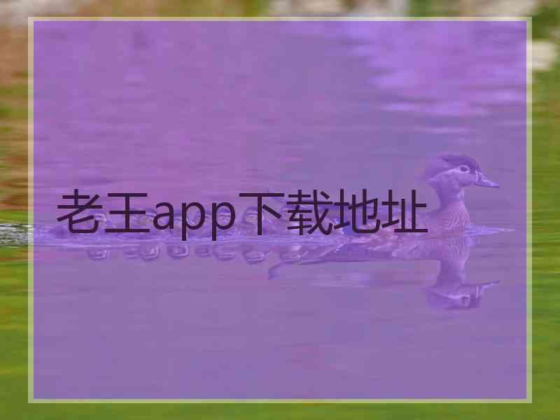 老王app下载地址