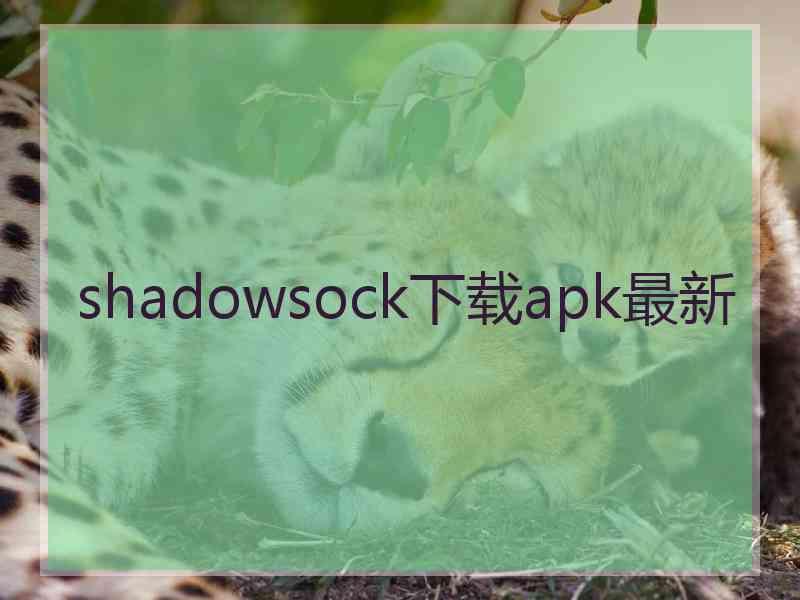 shadowsock下载apk最新