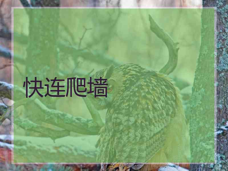 快连爬墙
