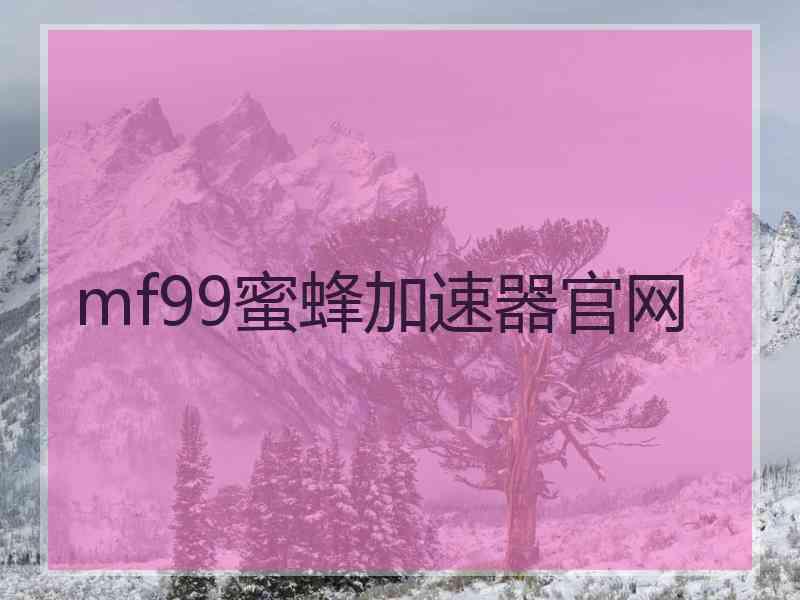 mf99蜜蜂加速器官网