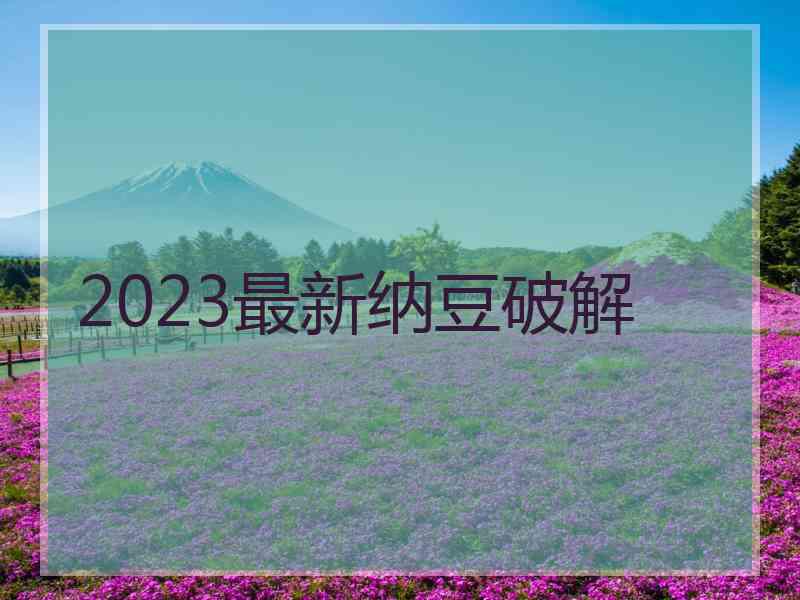 2023最新纳豆破解