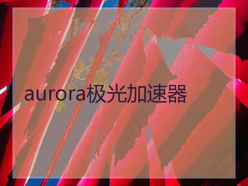 aurora极光加速器