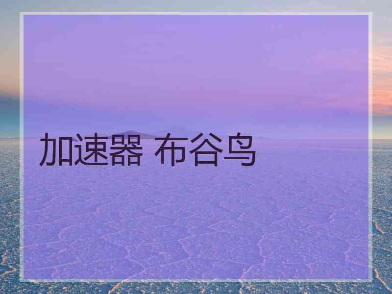 加速器 布谷鸟