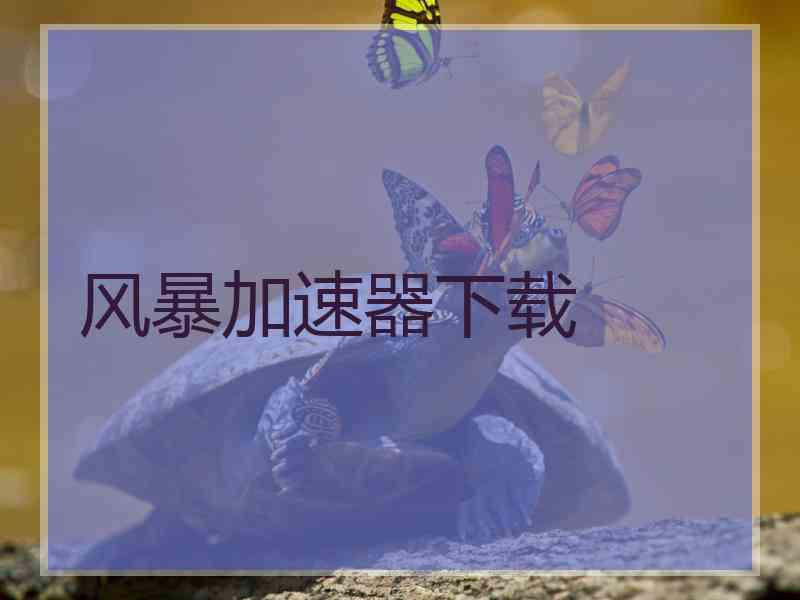 风暴加速器下载