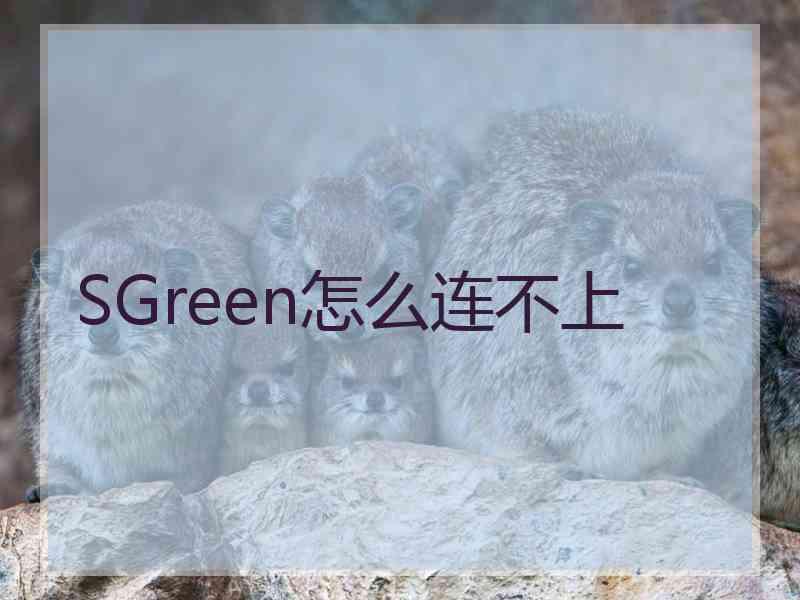 SGreen怎么连不上