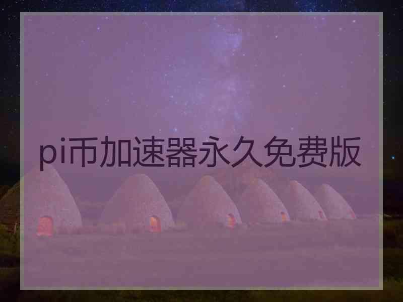 pi币加速器永久免费版