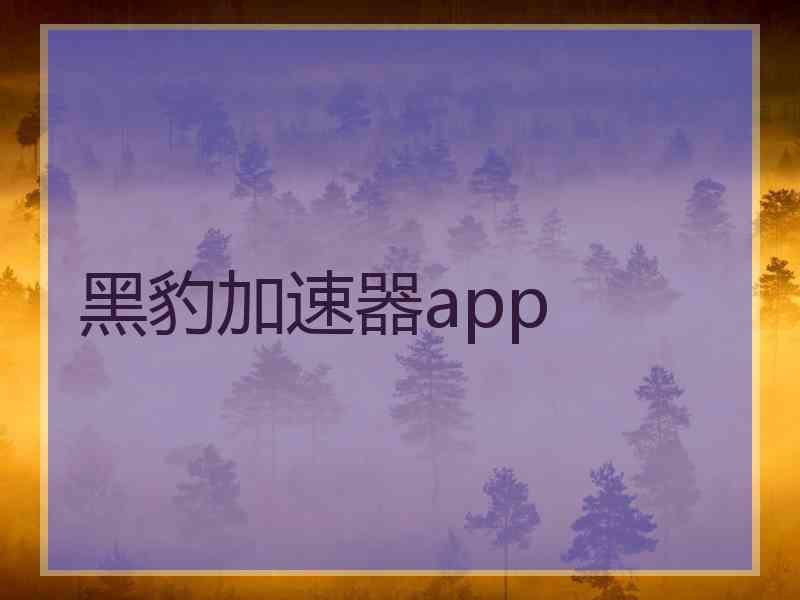 黑豹加速器app