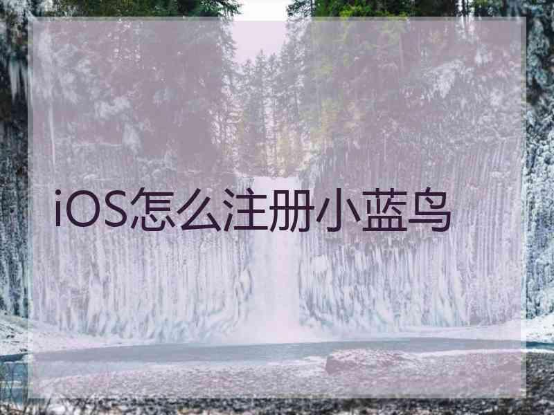 iOS怎么注册小蓝鸟