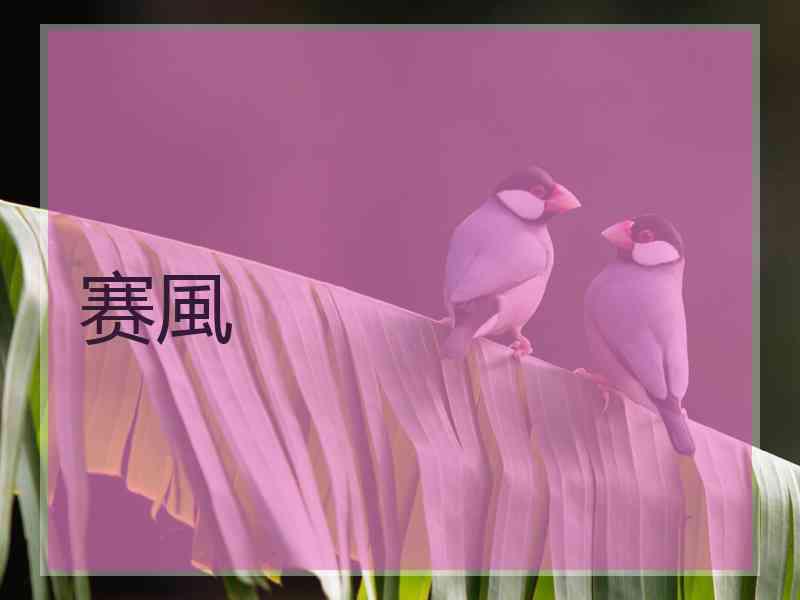 赛風