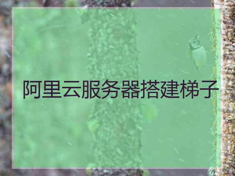 阿里云服务器搭建梯子