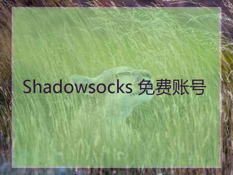 Shadowsocks 免费账号