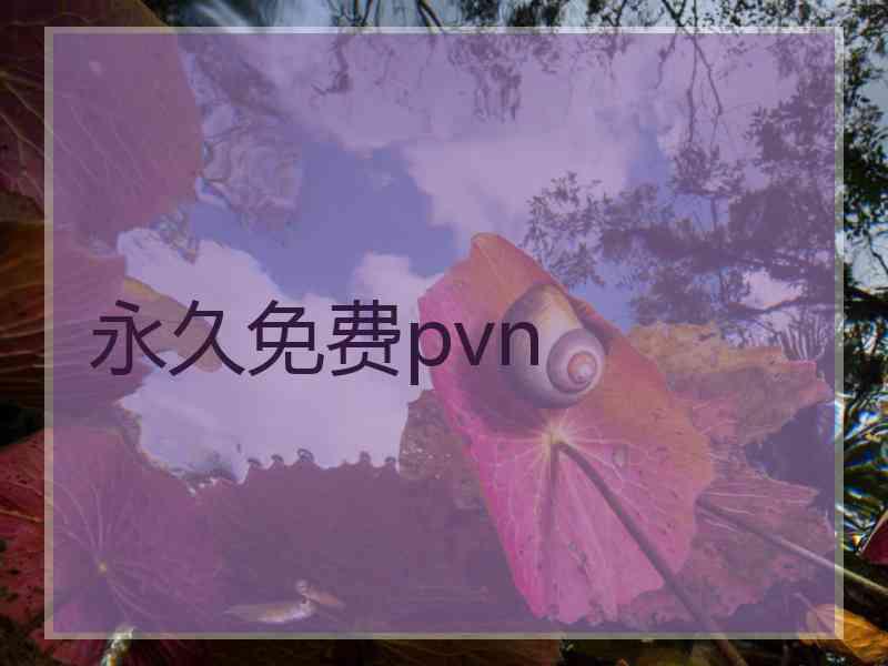 永久免费pvn