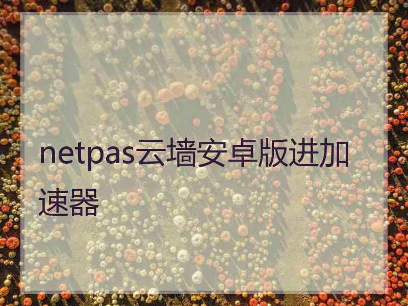 netpas云墙安卓版进加速器