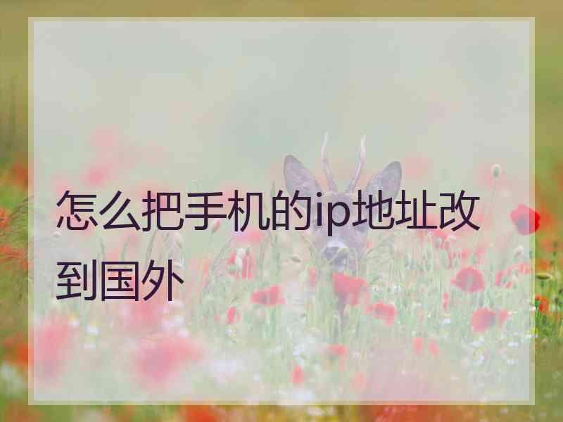 怎么把手机的ip地址改到国外