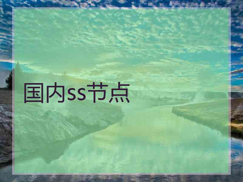 国内ss节点