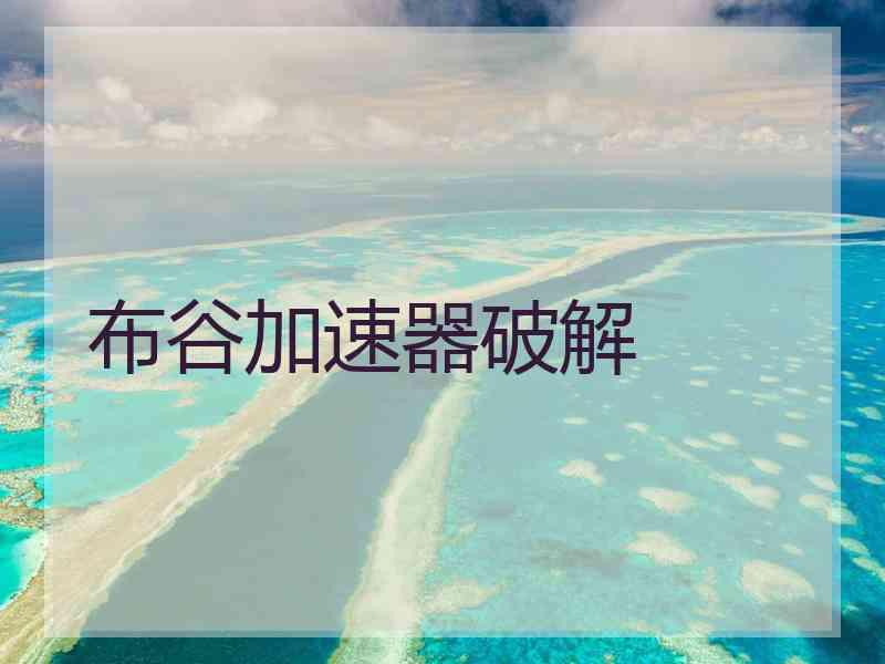 布谷加速器破解
